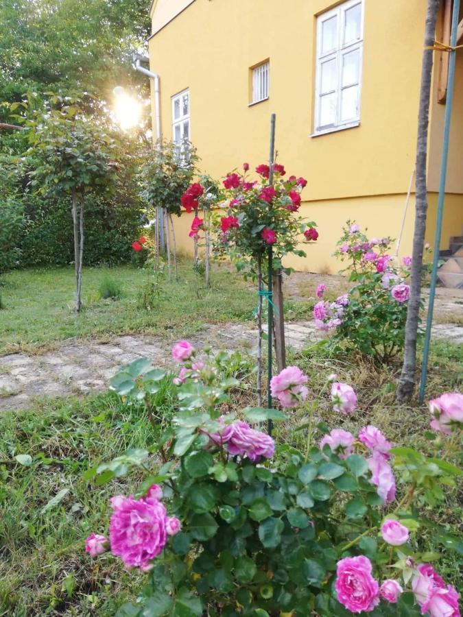 Ferienwohnung Szorcsik Haz 1913 Senta Exterior foto
